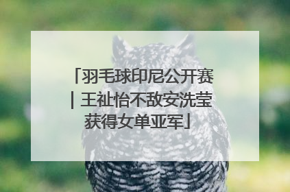 羽毛球印尼公开赛｜王祉怡不敌安洗莹 获得女单亚军