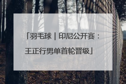羽毛球｜印尼公开赛：王正行男单首轮晋级