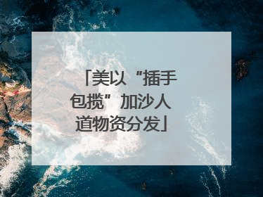 美以“插手包揽”加沙人道物资分发