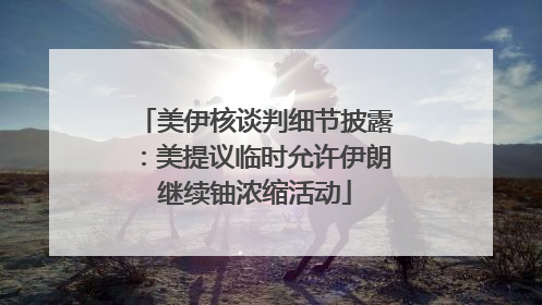 美伊核谈判细节披露：美提议临时允许伊朗继续铀浓缩活动