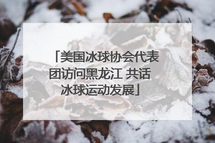 美国冰球协会代表团访问黑龙江 共话冰球运动发展
