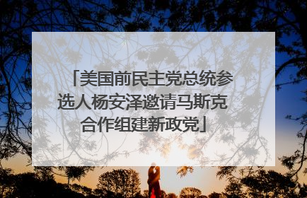 美国前民主党总统参选人杨安泽邀请马斯克合作组建新政党