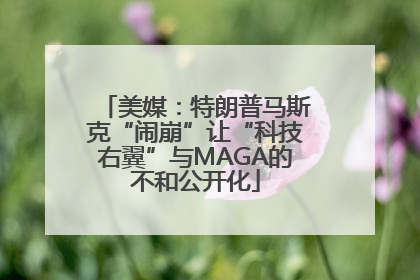 美媒：特朗普马斯克“闹崩”让“科技右翼”与MAGA的不和公开化