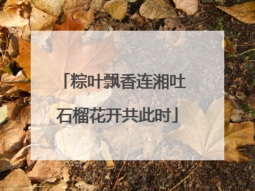 粽叶飘香连湘吐 石榴花开共此时