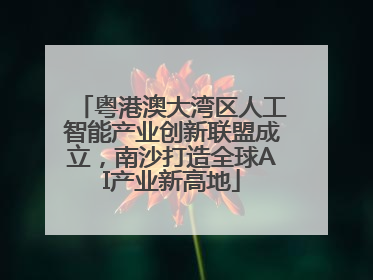 粤港澳大湾区人工智能产业创新联盟成立，南沙打造全球AI产业新高地