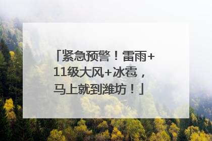 紧急预警！雷雨+11级大风+冰雹，马上就到潍坊！
