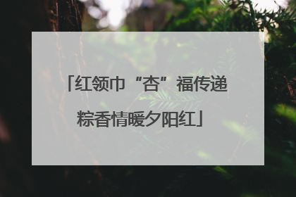 红领巾“杏”福传递 粽香情暖夕阳红