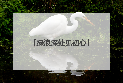 绿浪深处见初心