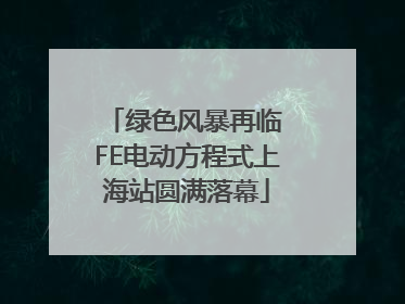 绿色风暴再临 FE电动方程式上海站圆满落幕