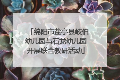 绵阳市盐亭县岐伯幼儿园与石龙幼儿园开展联合教研活动