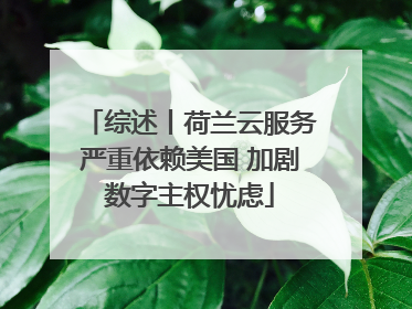 综述丨荷兰云服务严重依赖美国 加剧数字主权忧虑