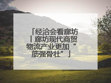 经洽会看廊坊丨廊坊现代商贸物流产业更加“筋强骨壮”