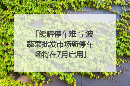 缓解停车难 宁波蔬菜批发市场新停车场将在7月启用