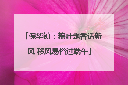 保华镇：粽叶飘香话新风 移风易俗过端午