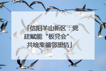 信阳羊山新区：党建赋能“板凳会” 共绘幸福邻里情