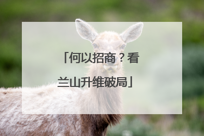 何以招商？看兰山升维破局