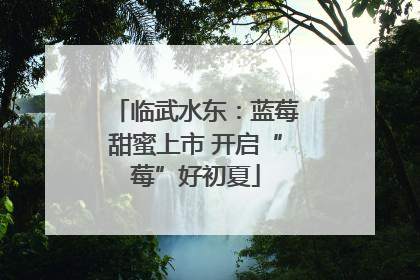 临武水东：蓝莓甜蜜上市 开启“莓”好初夏