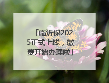 临沂保2025正式上线，缴费开始办理啦