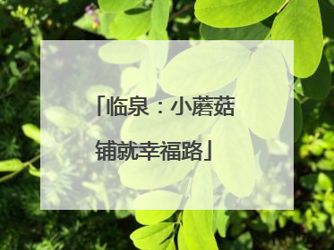 临泉：小蘑菇铺就幸福路