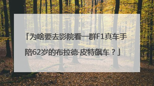 为啥要去影院看一群F1真车手陪62岁的布拉德·皮特飙车？