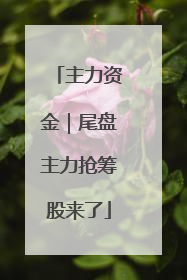 主力资金｜尾盘主力抢筹股来了