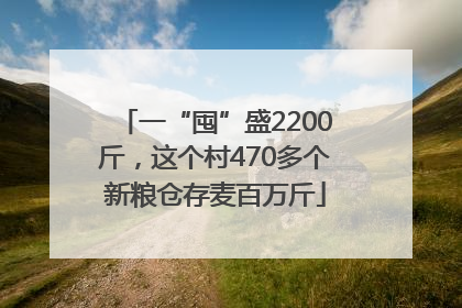 一“囤”盛2200斤，这个村470多个新粮仓存麦百万斤