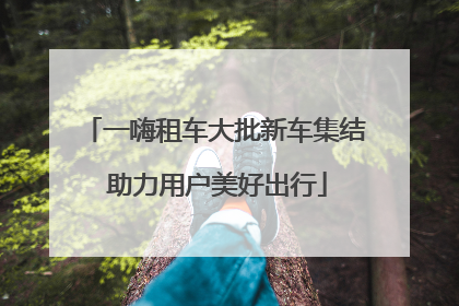 一嗨租车大批新车集结 助力用户美好出行