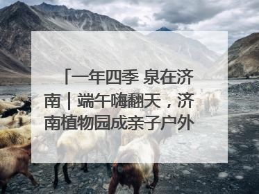 一年四季 泉在济南｜端午嗨翻天，济南植物园成亲子户外热门打卡地