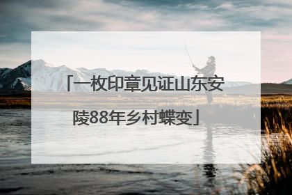 一枚印章见证山东安陵88年乡村蝶变