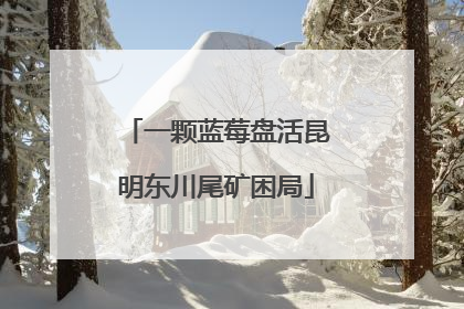 一颗蓝莓盘活昆明东川尾矿困局