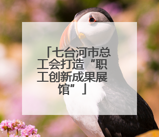 七台河市总工会打造“职工创新成果展馆”