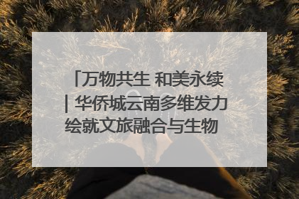 万物共生 和美永续｜华侨城云南多维发力 绘就文旅融合与生物多样性保护新图景