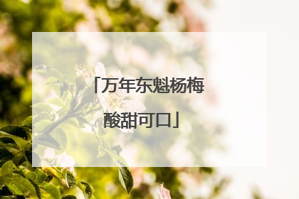 万年东魁杨梅 酸甜可口