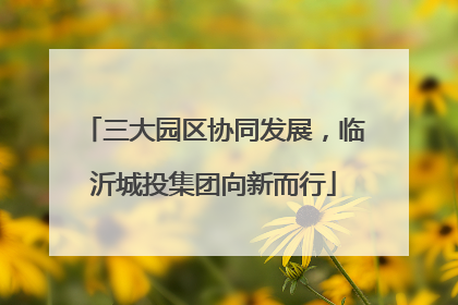 三大园区协同发展，临沂城投集团向新而行
