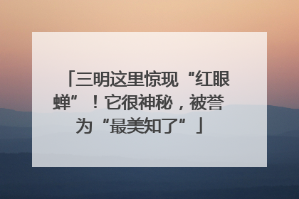 三明这里惊现“红眼蝉”！它很神秘，被誉为“最美知了”