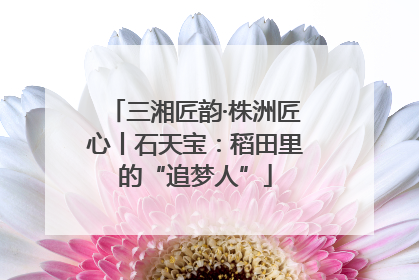三湘匠韵·株洲匠心丨石天宝：稻田里的“追梦人”