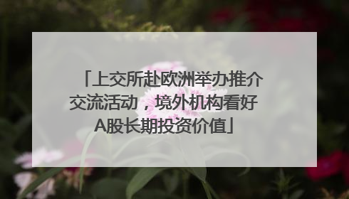 上交所赴欧洲举办推介交流活动，境外机构看好A股长期投资价值