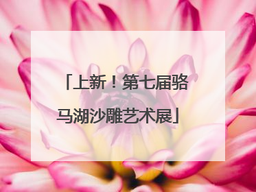 上新！第七届骆马湖沙雕艺术展