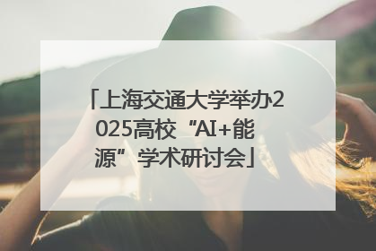 上海交通大学举办2025高校“AI+能源”学术研讨会