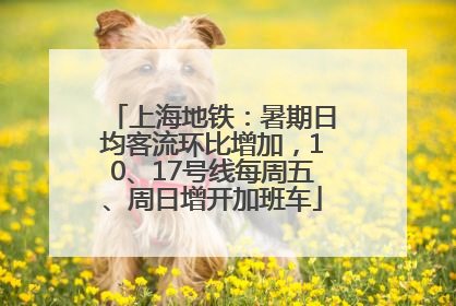 上海地铁：暑期日均客流环比增加，10、17号线每周五、周日增开加班车