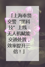 上海奉贤交警“黑科技”上线：无人机赋能交通处置，效率提升三倍！