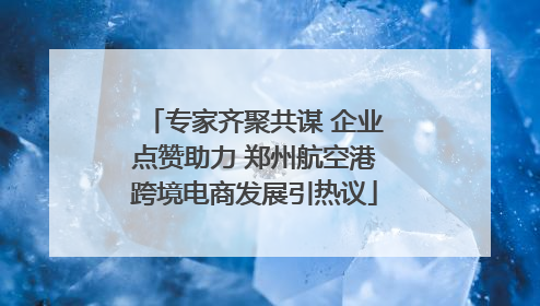 专家齐聚共谋 企业点赞助力 郑州航空港跨境电商发展引热议