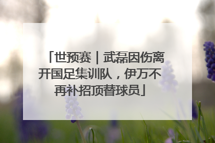 世预赛｜武磊因伤离开国足集训队，伊万不再补招顶替球员