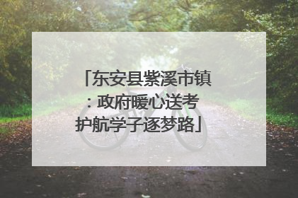 东安县紫溪市镇：政府暖心送考 护航学子逐梦路