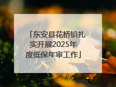 东安县花桥镇扎实开展2025年度低保年审工作