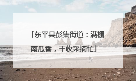 东平县彭集街道：满棚南瓜香，丰收采摘忙