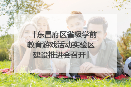 东昌府区省级学前教育游戏活动实验区建设推进会召开