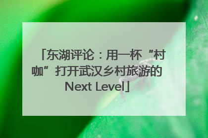 东湖评论：用一杯“村咖”打开武汉乡村旅游的Next Level