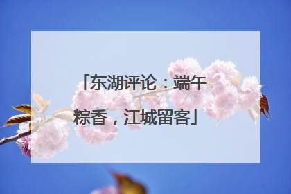 东湖评论：端午粽香，江城留客