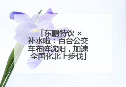东鹏特饮 × 补水啦：百台公交车布阵沈阳，加速全国化北上步伐